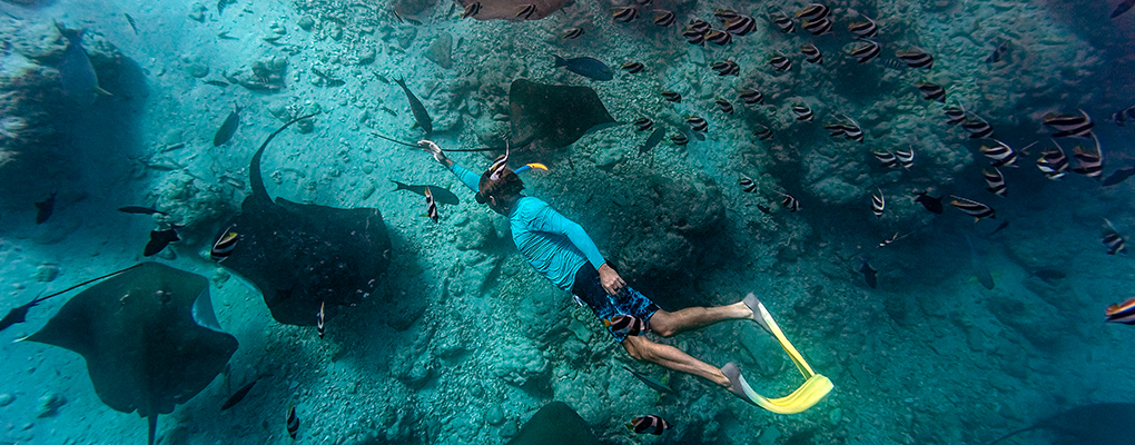 [나트랑] 크레이지파티호핑투어 